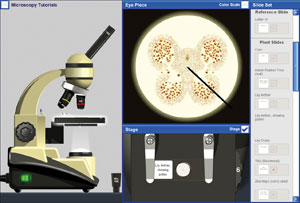 LJ Group's Virtual Microscope